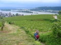 2013-06-08_Chorios-Ausflug_Rheingau_26