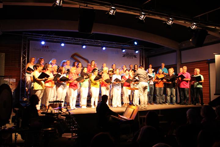 TAKTVOLL-Konzert "Songs & Cinema" beim Sommer am See in Böblingen