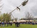 LDK_Maibaum_2022-21-scaled